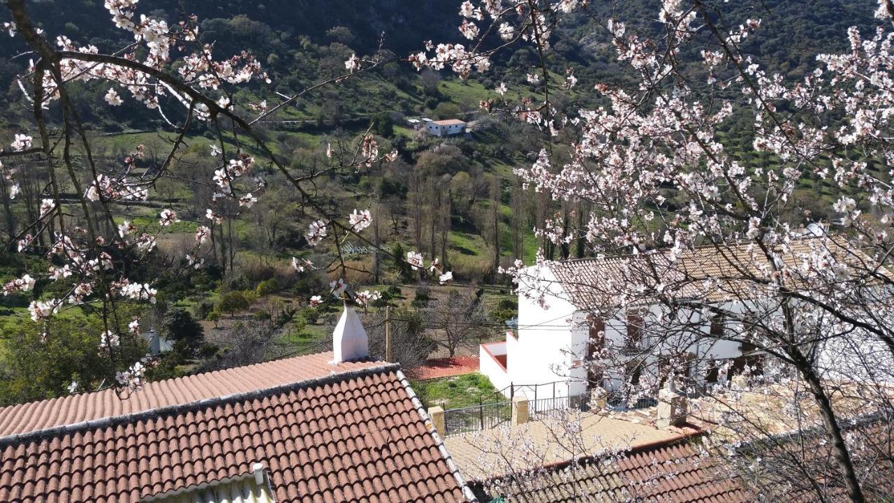 Benamahoma Rural Διαμέρισμα Εξωτερικό φωτογραφία
